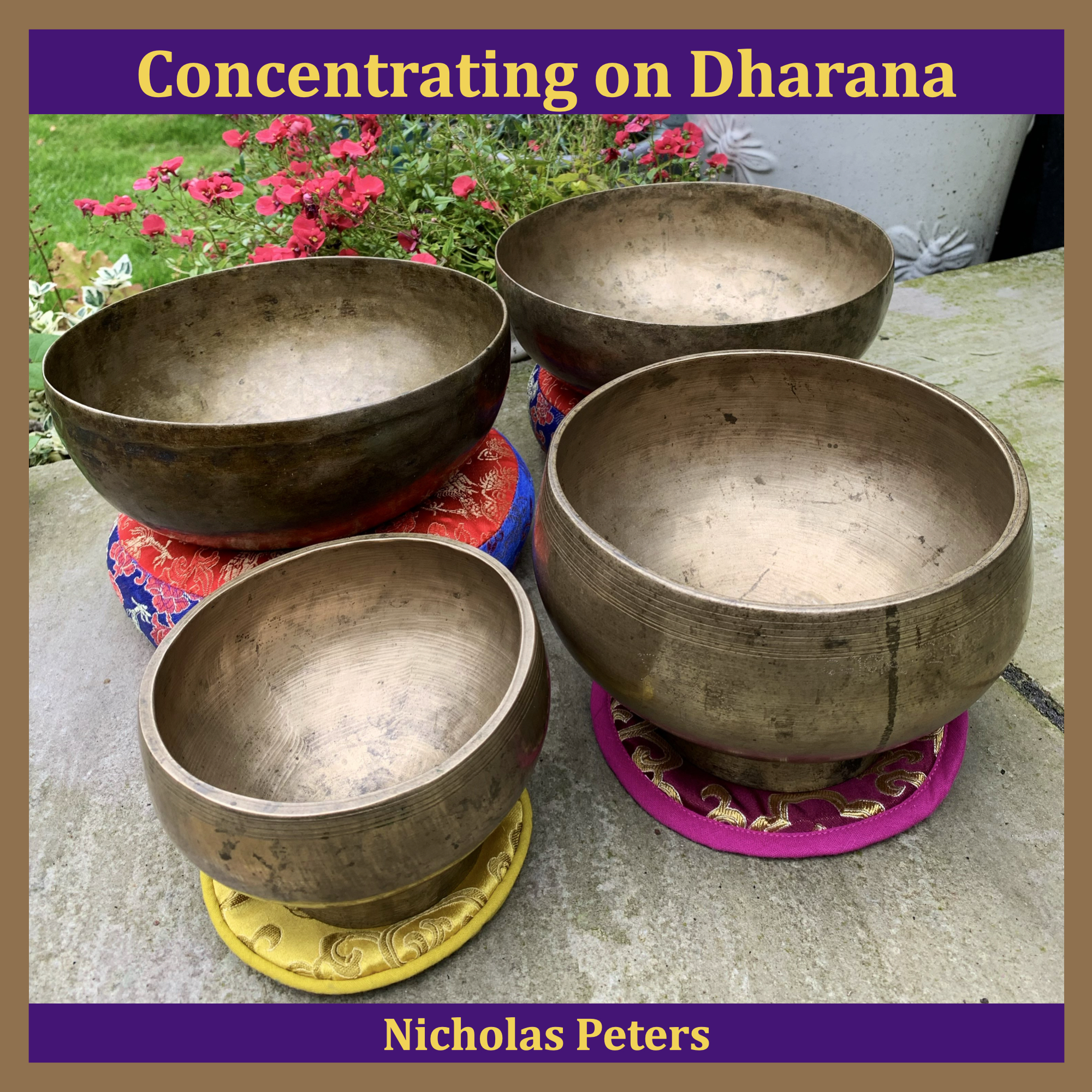 Single artwork showing four antique Himalayan singing bowls resting on brocade cushions. The two bowls at the back are shallow and thin walled Jambati bowls, and two bowls in the front are 'Naga' pedestal bowls. Text reads: "Concentrating on Dharana by Nicholas Peters".
