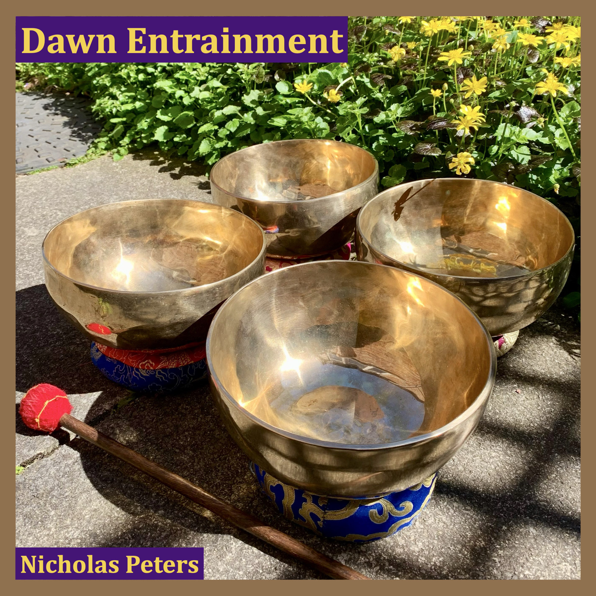 Single artwork with text that reads: “Dawn Entrainment by Nicholas Peters". The photograph in the artwork shows four modern Himalayan singing bowls resting on brocade cushion rings outside on a garden path with the sunlight shining on them. Behind the bowls is a flower border with yellow flowers.
